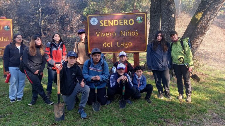 Lee más sobre el artículo Convocatoria Nacional de Proyectos Educativos Solidarios 2026