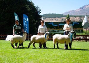 Lee más sobre el artículo La Escuela Nº 740 de Trevelin destacó en la 100ª Exposición Rural de Esquel