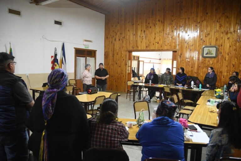 Lee más sobre el artículo El Ministerio de Educación del Chubut realizó un Encuentro Provincial para dar continuidad al Proceso de Consulta sobre la EIB
