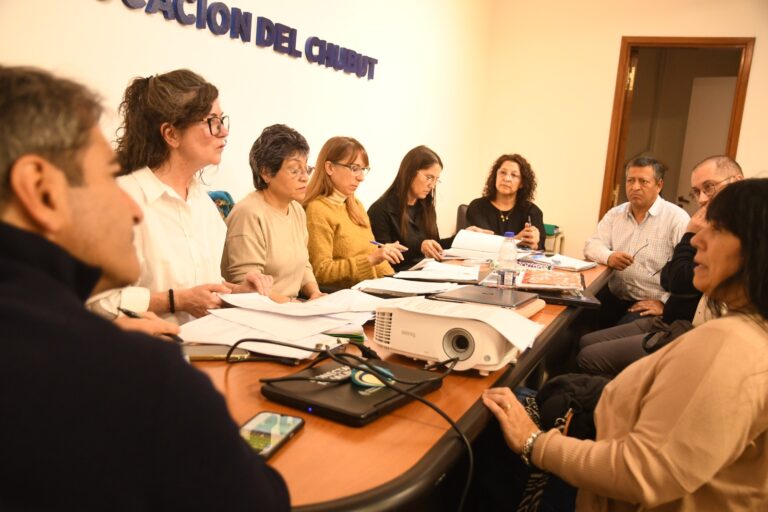 Avanza la actualización de los Diseños Curriculares en Educación Superior