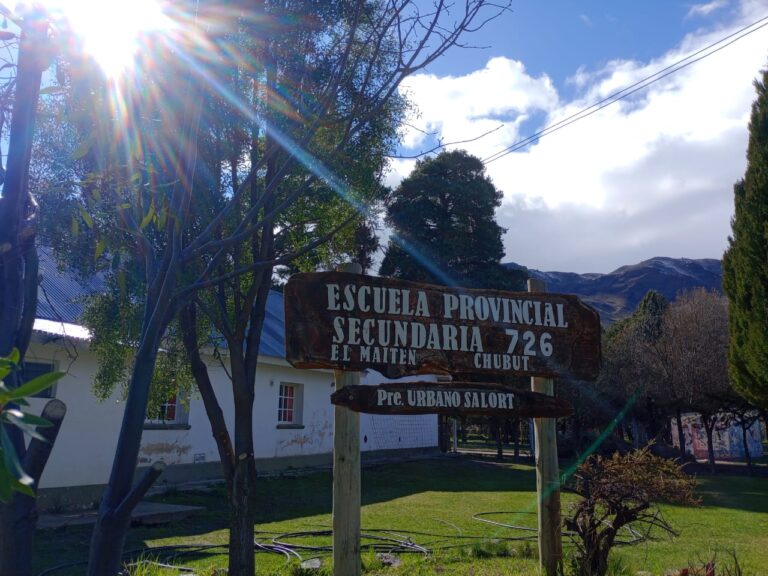 Lee más sobre el artículo Escuela 726