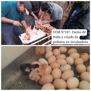 Lee más sobre el artículo Escuela 7708