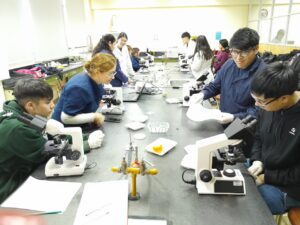 Lee más sobre el artículo Escuela 7715