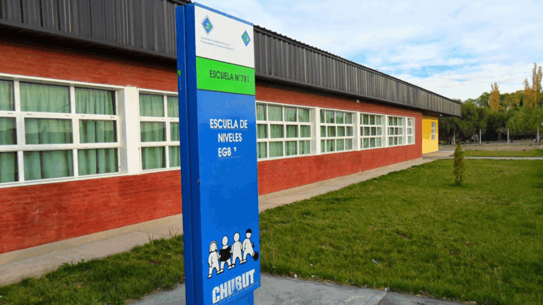 Lee más sobre el artículo Escuela 781