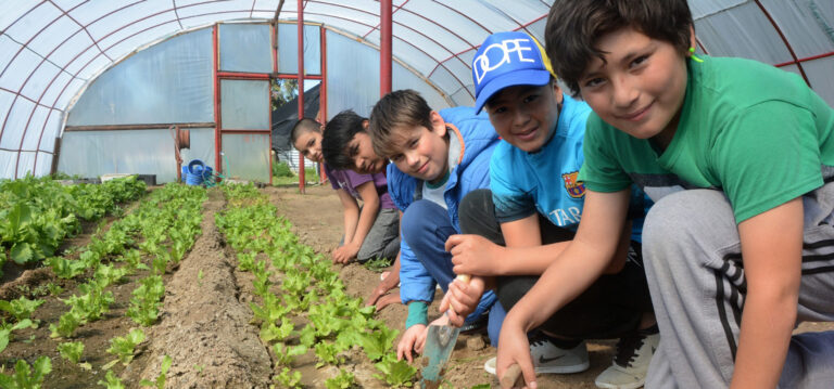 Lee más sobre el artículo Chubut implementará un Bachillerato con Orientación en Energía y Sustentabilidad desde 2026