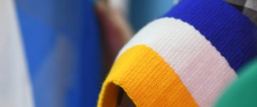 Guarda colores bandera mapuche
